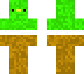normal duck