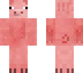 pig