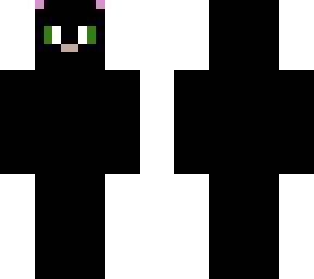 black cat