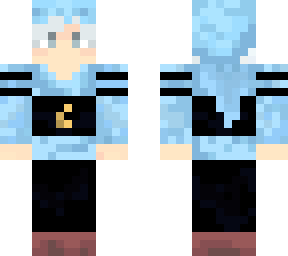 silver termina