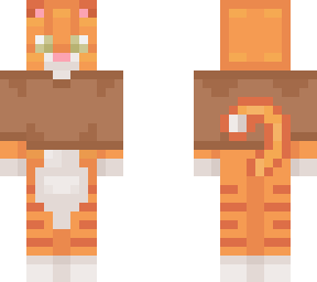 sweater cat