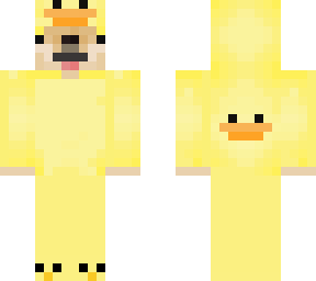 cute duck dog