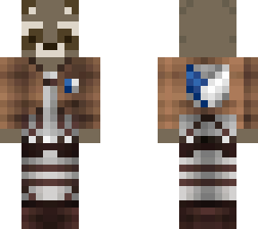 racoon aot