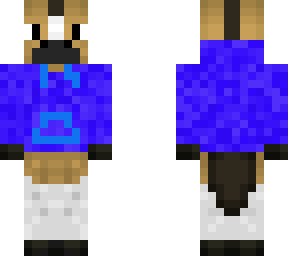 blue hoodie horse