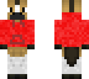 red hoodie horse