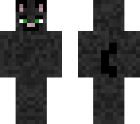 black cat