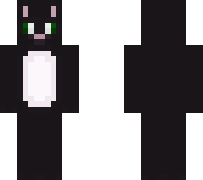 - black cat -