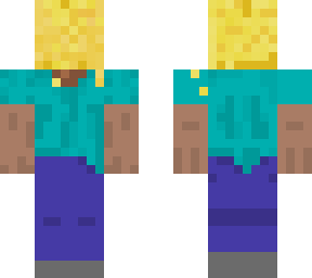 steve with a beehive head
