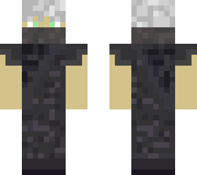 ninja skin