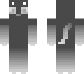 black&white cat