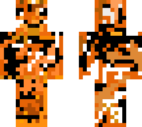 calico cat
