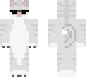 swaggy grey kitten
