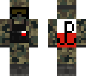polish army