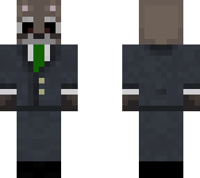 raccoon