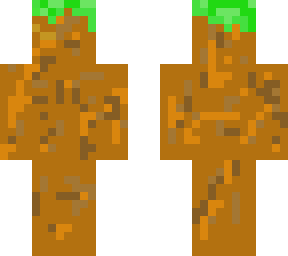 dirt skin
