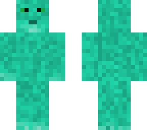 a cat