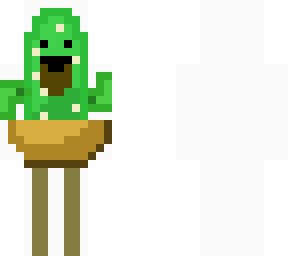 cactus with bear