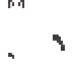 black cat basee