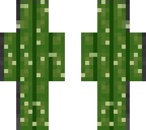 cactussa