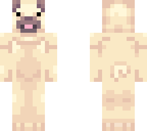 pupito