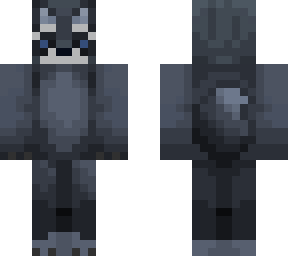 raccoon