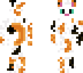 calico cat