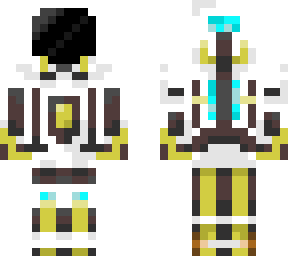 a random armored skin