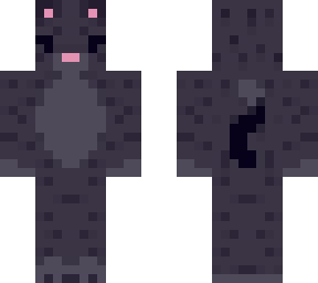 little black cat