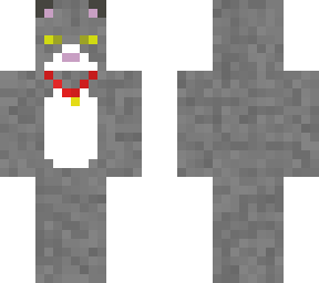 tabby cat