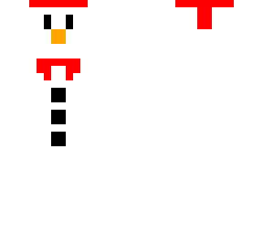 snowed up snow man
