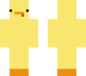 another duck!