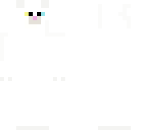 cute white cat