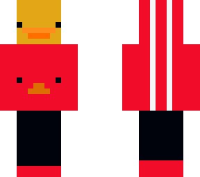 patolterrok4.0