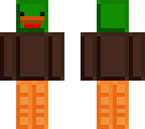 plastic duck
