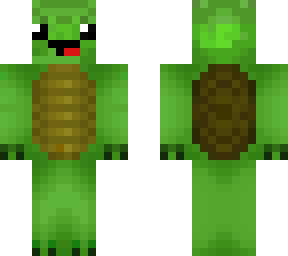 turtle helmet on turtle
