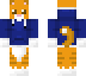 gato con sueter azul