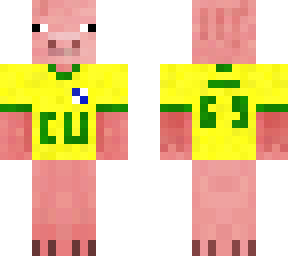 vai brazillian