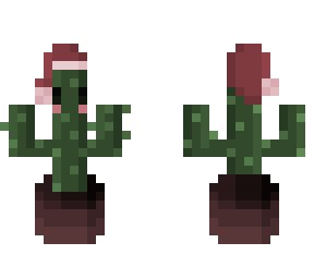 a prickly christmas-~*~- 40dtc day 18- christmas cactus