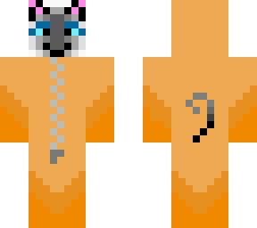 siamese cat in pyjamas!