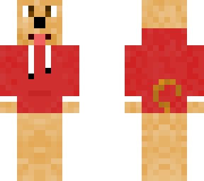 dog with red hoodie
