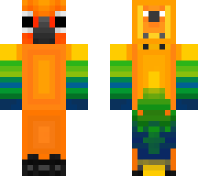 sun conure
