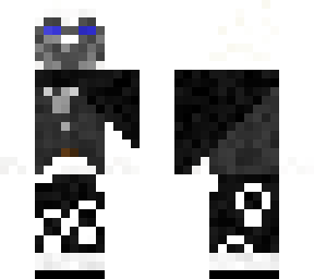 a skin