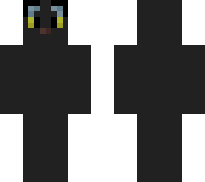 black cat