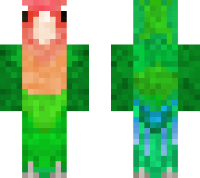 peach faced lovebird