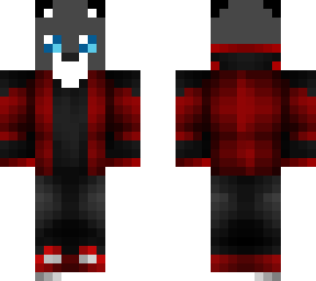 the cat