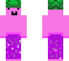 main skin - pink turtle