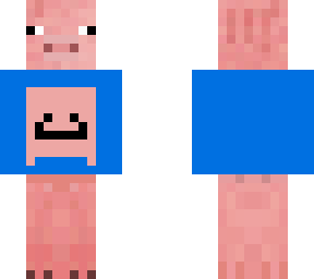 pig with pig hoodie