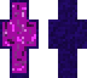 portal skin