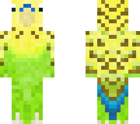 wild type budgerigar