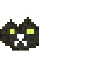 angry kitty